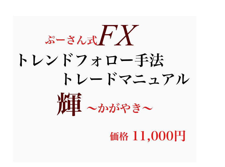 FXぷーさん式トレンドフォロー手法トレードマニュアル「輝」